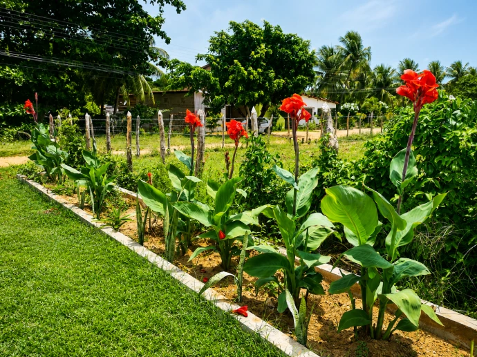 Sanutrate